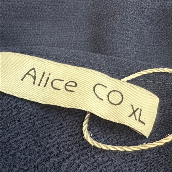 NWT Alice Co. Sheer Sleeveless Blouse - Picture 5 of 7